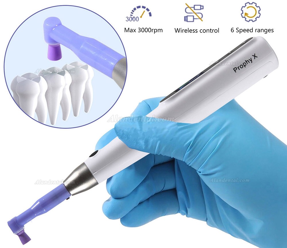 Dental Electric Hygiene Prophy Handpiece 360° Swivel + 2 Prophy Angles